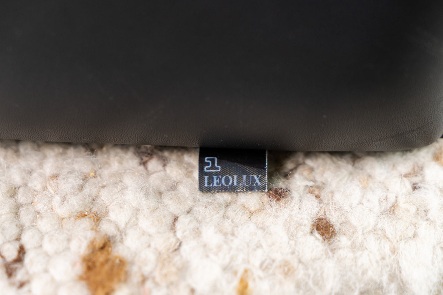 Leolux Leder Sessel