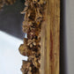 ANTIKER SPIEGEL GOLD wandspiegel 19. jahrhunder geschliffenes glas louis gauthier dijon